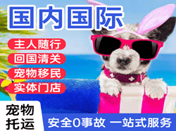 三义航空快递国际宠物托运 【国